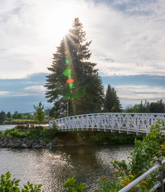 Bridge on a sunny day.
