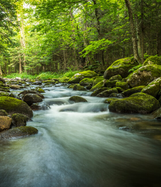 A river with moving water.