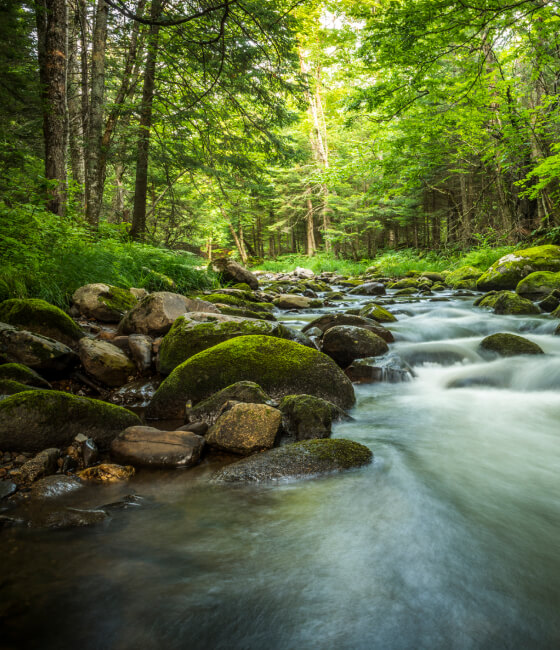Running water in a river