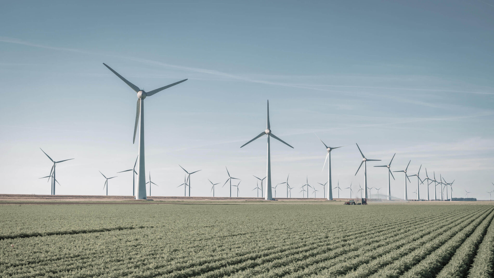 Field of wind towers